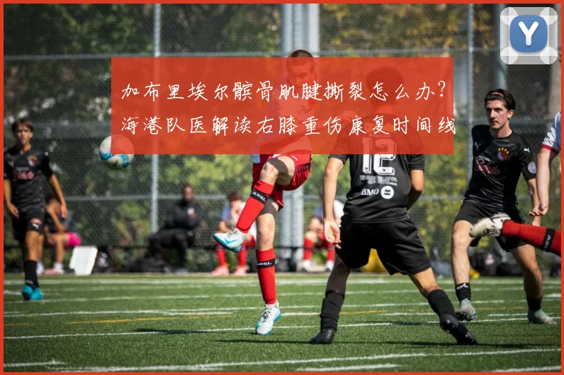 加布里埃尔髌骨肌腱撕裂怎么办？海港队医解读右膝重伤康复时间线及对2026赛季影响
